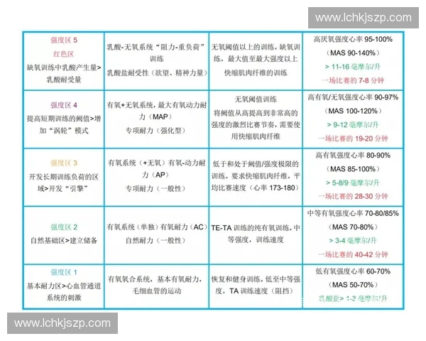 全面提升体能与耐力训练方法打造健康强健体魄的科学指南 全面提升体能与耐力训练方法打造健康强健体魄的科学指南