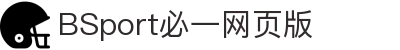 必一(运动科技有限公司)官方网站-B·Sport